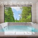 퍼니멍멍 | 경기도 애견펜션 1박 후기 퍼니멍멍 갤럭시하우스 이정도면 한번쯤 더 와도 좋을듯!?