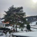 세솔팬션 이미지