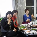 솔다리 Daum카페
