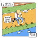 루루라라 이미지