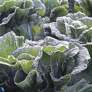 해진농장 이미지