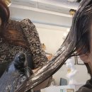 루시헤어 | 부천 중동 헤어루시 S컬 매직셋팅 후기 (머릿결 안 상하고 감동한 곳)