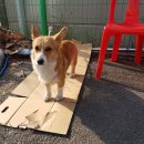 진건우회로 이미지