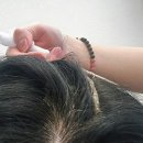 (주)아쿠아테크 | 합정역 미용실 추천 템드헤어룸 합정역점, 루다점장님 두피 클리닉(QUALIFE 스칼프 스파) 솔직 후기