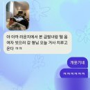 끼노래클럽 | 어엿한 20대 중반 여성들의 뿌"싼"여행!!🦪🦪💦💦🥵🥵