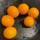 양사부쿵푸짬뽕 이미지