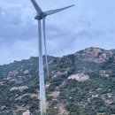 배식농장 | 여행락 | 나트랑 2일차 사막투어 후기..?