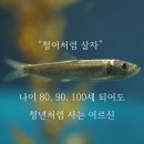 [공지] 에스테틱숍 상생! 섀도우테라피!트러블 진단과 화장품 처방이 가능한 스킨 트라우마 전문관리...