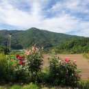 산골농부네 이미지