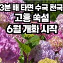 6월 3일(수) 고흥 쑥섬 수국축제/레인보우교(우도섬) 탐방/ ♡50,000(승선료 입도비포함) /조중식(찰밥) 36석리무진운행 이미지