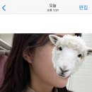 혹부리한의원 | 울쎄라 대신 튠페이스 로 얼굴라인 살린 후기 / 한달차