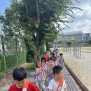 동문초등학교에 다녀왔어요~ 이미지