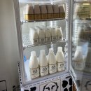 [일본여행] 소도시 구마모토 렌터카 3박 4일 여행 - <b>미스미</b> 서항, 가족탕 온천, 구마모토 호텔 캐슬 조식