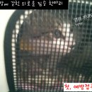 심재웅동물병원 이미지