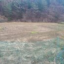 최영일 행정사사무소 이미지