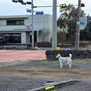 한라산아래첫마을영농조합법인 | 한라산아래첫마을 영농조합법인, 포도뮤지엄, 포도호텔