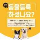 24시 블레스동물메디컬센터 이미지