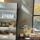 원데이브레드(One Day Bread) | 도쿄 롯폰기 힐즈 카페 브런치 추천 브리콜라주 브래드앤코(bricolage bread&amp;co.)