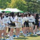 치어리딩 Daum카페