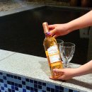 아라차경 | [공지] [제주도 제주시/숙소] 제주 감성숙소 역대급 찐추천후기 (+예약링크)