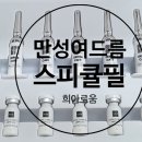 강서기전 이미지