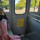 미인열차 이미지