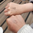 [경남/통영] 기념일 통영여행으로 다녀온 스카이라인루지통영 솔직후기