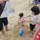 초당축산 | 80일 아기랑 3대 가족 여행 숙소&amp;코스 추천(라카이샌드파인 트리오, 강릉중앙시장, 대동면옥, 초당 모꼬지)