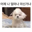 월 이미지