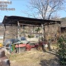 서당골소류지 네이버블로그