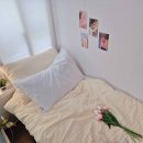 럭키하우스 이미지