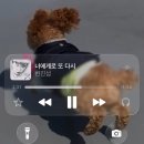 애린네일 | 궁뎅이 가리기(red red)