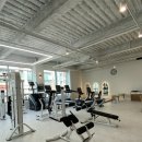 곤조(GONZO)PT 이미지