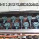 오양씨월드