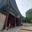 야궁 | 덕수궁은 갔지만 석조전과 현대미술관은 관람 실패