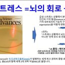 브레인 사이언스 | 스트레스가 돈이 된다고? ‘브레인 리셋’ 4회차: 불편함을 돈으로 만드는 스킬