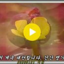 20260121.22 Pokarekare ana 강추위 이미지