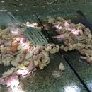 동명농장2 이미지