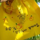 삼포초등학교 이미지