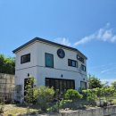 앵무타운 이미지