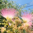 내동산 도는길 이미지