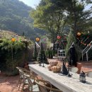 리베볼(liebevoll) | 성주 리베볼 카페 방문 후기 (LIEBEVOLL, 성주 추천 카페)