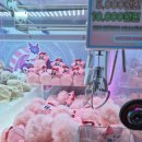 캐치팡인형뽑기방 이미지