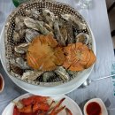 아라곰장어 이미지