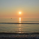 안면도바다사랑낚시 이미지