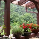 불바라기팬션 이미지