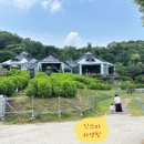 비루개 | [공지] [남양주 카페] 비루개 솔직 후기: 명당 자리 꿀팁부터 주차, 식물원 감성 200% 즐기기(내돈내산)