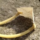 함허동천 시범야영장 이미지