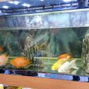 월산약국 이미지