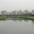신일미용실